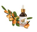 COSMETIC ARGAN OIL FOR BEUTY Royalty Free Stock Photo